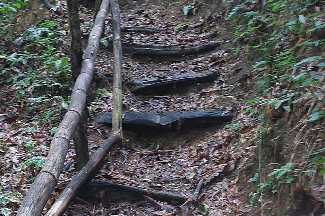 Mayfield Falls nature walk - The drive adds more than scenery