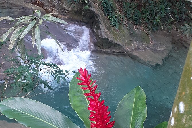 Mayfield Falls nature walk - How Mayfield Falls compares with a resort afternoon