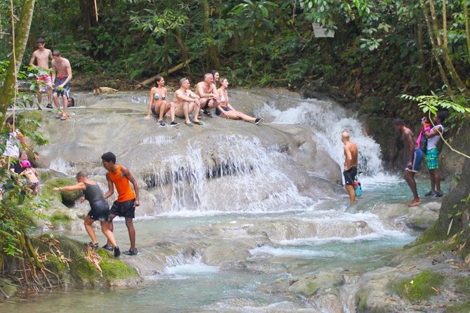 Mayfield Falls Private Tour - What makes this Mayfield Falls trip worth considering