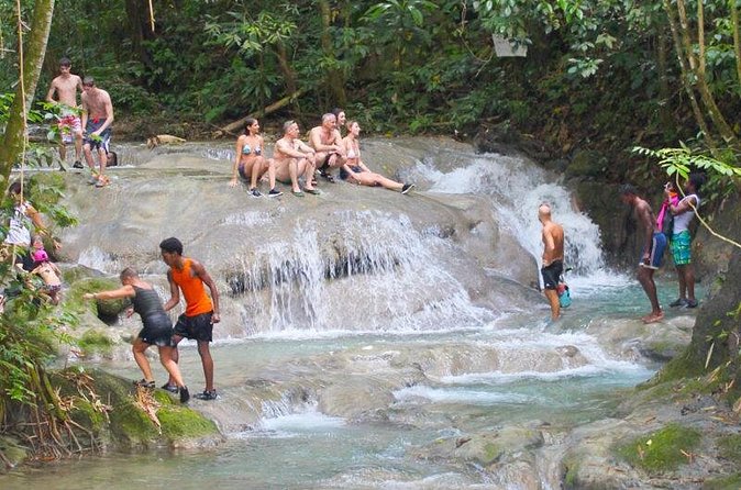 Mayfield Falls Private Tour - Booking and cancellation details