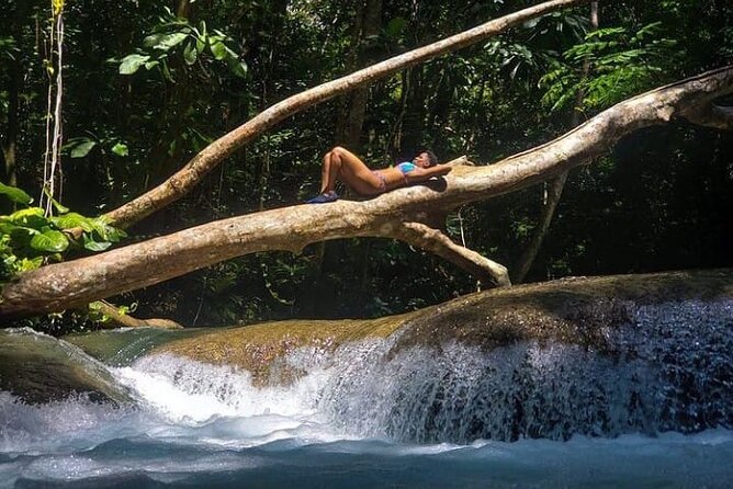 Mayfield Falls Tour with Lunch, drink, Entry & Transp(Original) - Transport from Montego Bay and the Negril wording