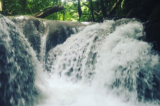 Mayfield Falls Tour with Lunch, drink, Entry & Transp(Original) - Group size and the feel of the visit