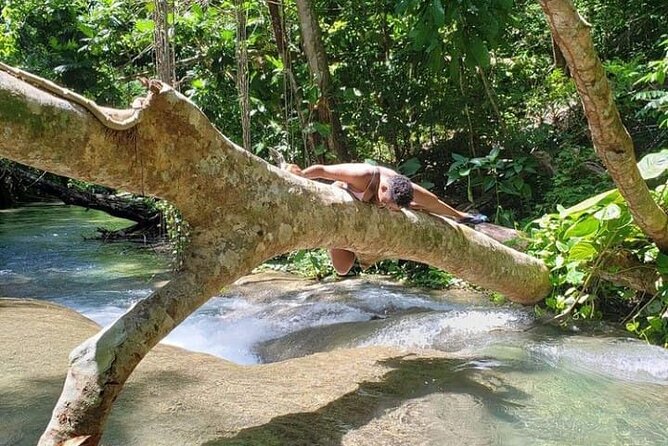 Mayfield Falls Tour with Lunch, drink, Entry & Transp(Original) - The five waterfalls and natural pools