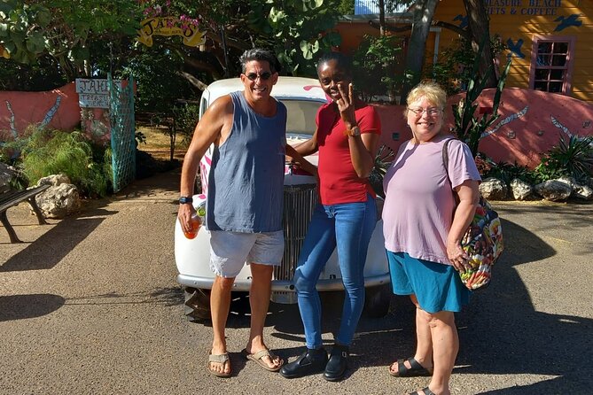 Montego Bay Airport Transfers Private Taxi to Hotels in Negril - Who should book this Negril transfer?