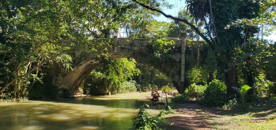 Montego Bay: Bamboo Raft Cruise on the Great River - A note about the Great River and Martha Brae