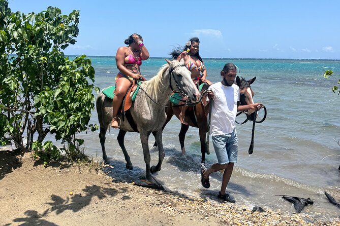 Montego Bay Beach Horseback Riding Tour - Arriving at Noble House and meeting the guides