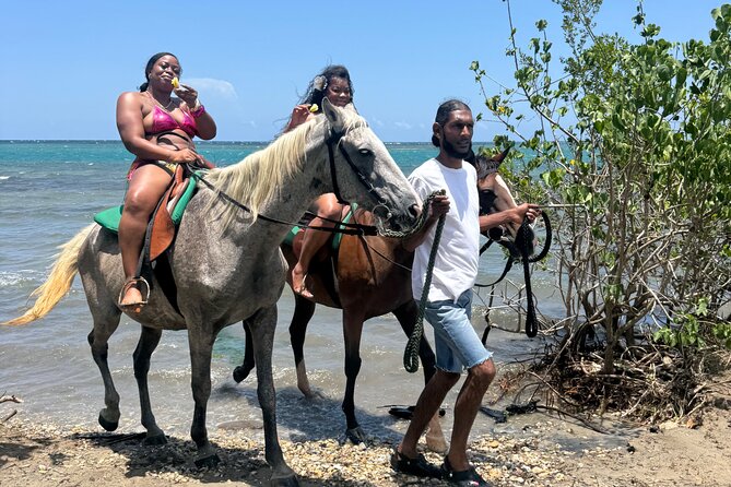 Montego Bay Beach Horseback Riding Tour - Who should book this Montego Bay activity