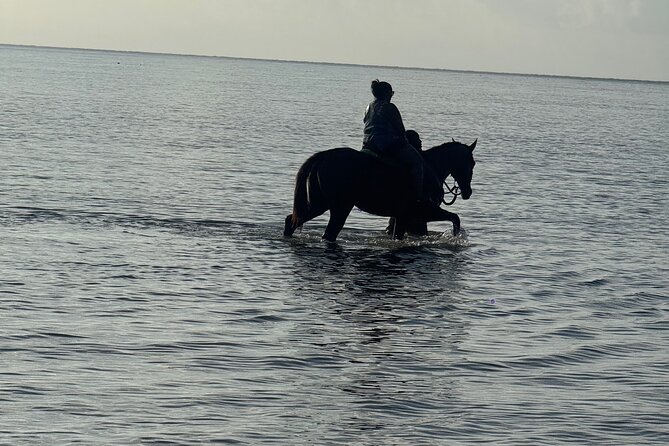 Montego Bay Beach Horseback Riding Tour - Practical details to know before you go