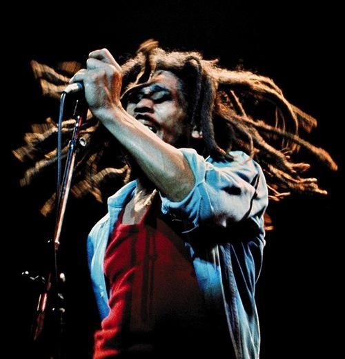 Montego Bay: Bob Marley Tour to 9 Mile, St. Ann - Who will enjoy this 9 Mile outing most