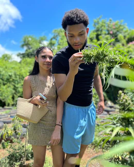 Montego Bay: Cannabis Farm, Bamboo Rafting, & Foot Massage - Drifting down the Lethe River by bamboo raft