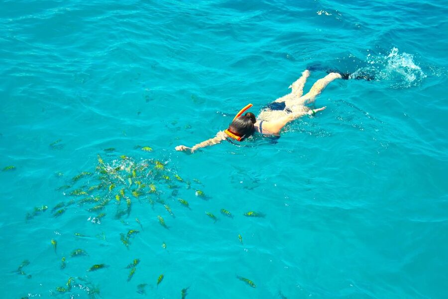 Montego Bay Catamaran Cruise and Snorkeling Tour - A half-day on Montego Bay’s Caribbean coast