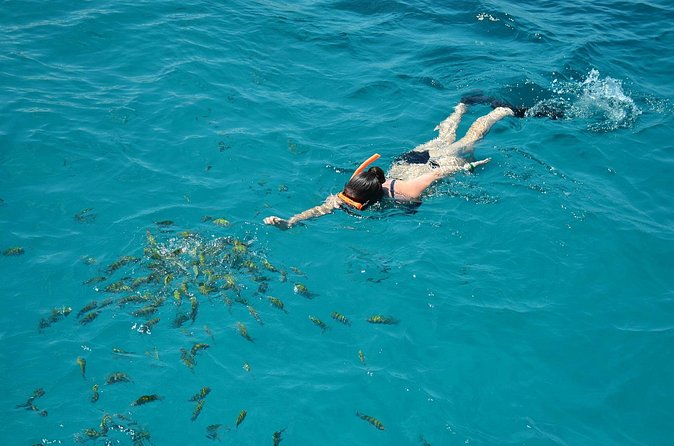 Montego Bay Catamaran Cruise and Snorkeling Tour from Falmouth - Who will enjoy this cruise most?