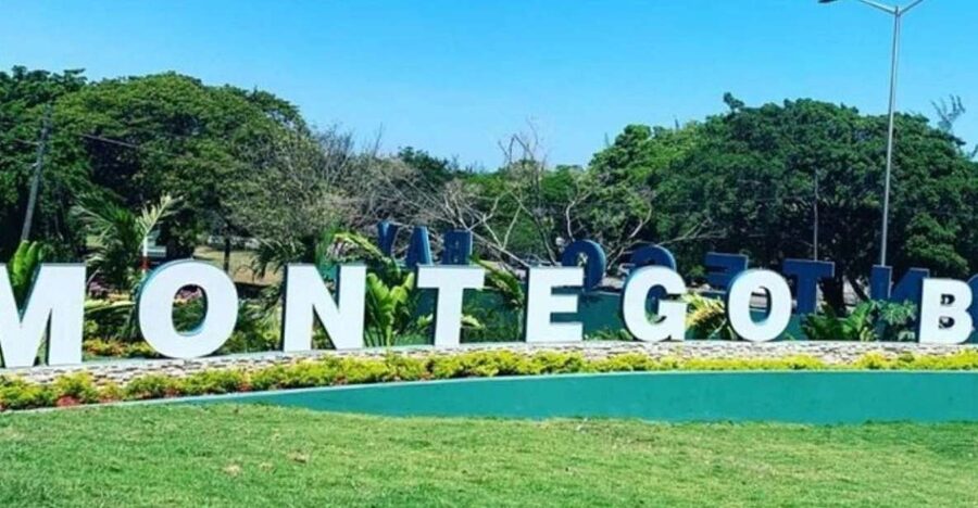 Montego Bay: City Highlights and Souvenir Shopping Tour - Who will enjoy this tour most?