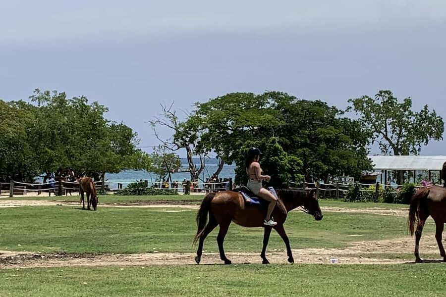 Montego Bay: Day Trip with Zipline, ATV, and Horseback Ride - Key points to know before booking