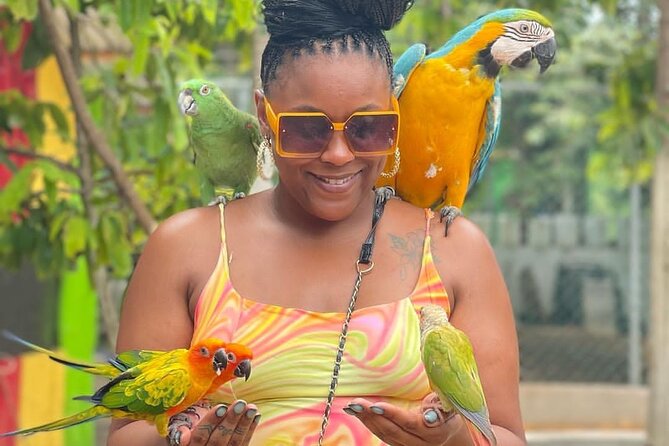 Montego Bay Exotic Herbs, Birds and Animals Interaction Tour - What the Montego Bay nature tour is really like