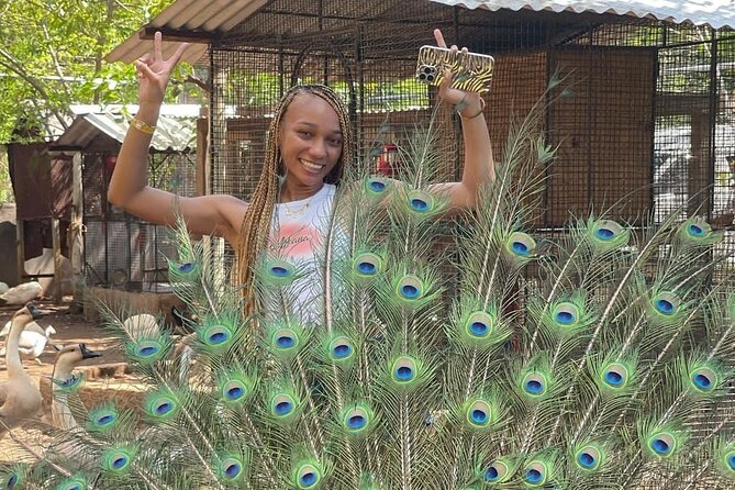 Montego Bay Exotic Herbs, Birds and Animals Interaction Tour - The agricultural lesson in Ironshore