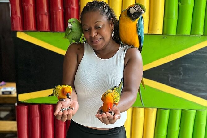Montego Bay Exotic Herbs, Birds and Animals Interaction Tour - How the two-hour schedule works
