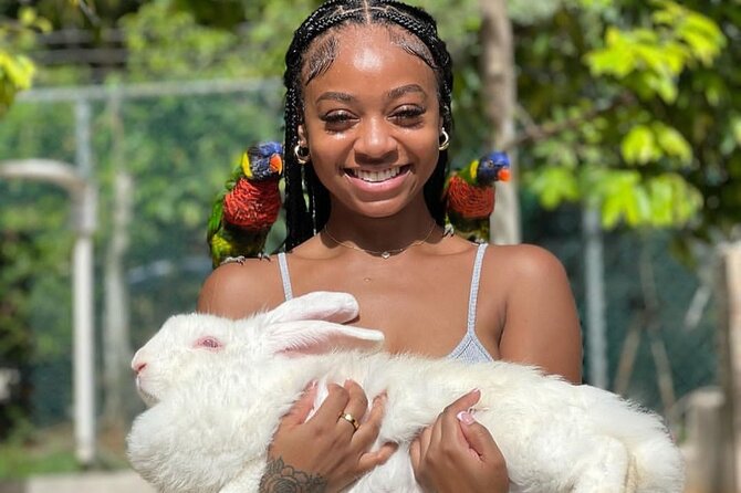 Montego Bay Exotic Herbs, Birds and Animals Interaction Tour - Is $95 per person a fair price?