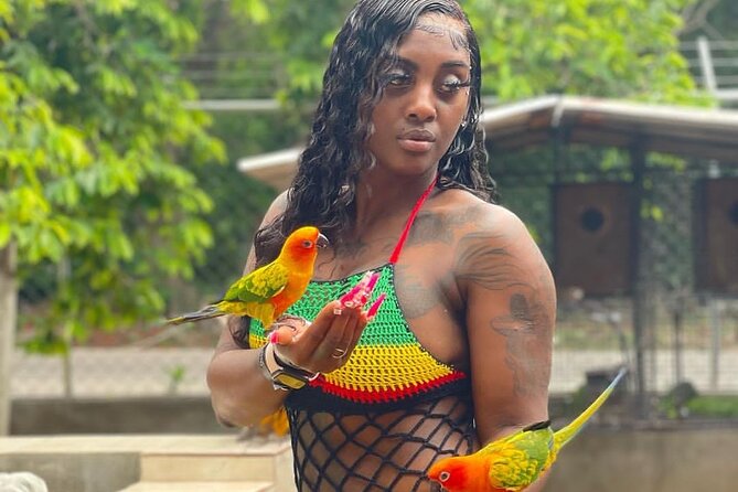 Montego Bay Exotic Herbs, Birds and Animals Interaction Tour - Meeting parrots, rabbits, ducks, and other pets