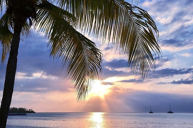 Montego Bay Highlights Tour from Montego Bay - The Hip Strip: Shops, Restaurants, Bars, and Beaches