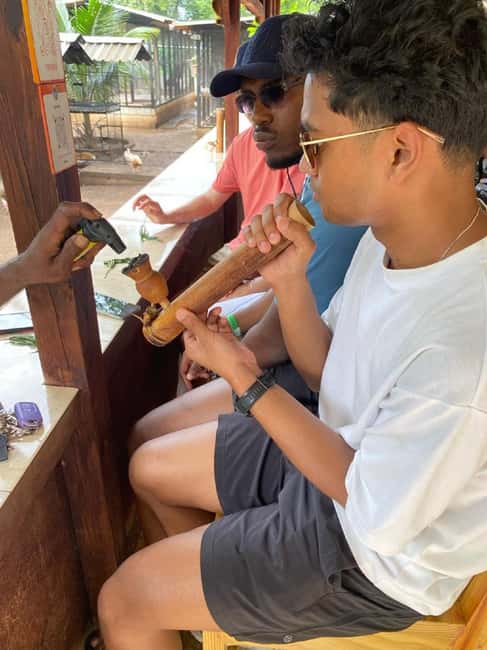 Montego Bay: Marijuana Farm and Bird Sanctuary Tour - At the marijuana nursery, look closely and keep expectations modest