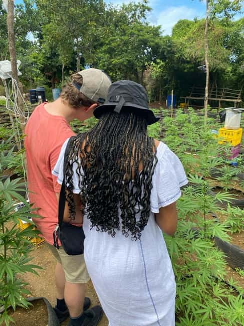 Montego Bay: Marijuana Farm and Bird Sanctuary Tour - A food stop rounds out the ride home