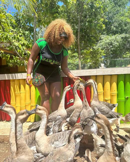 Montego Bay: Marijuana Farm and Bird Sanctuary Tour - The biggest misunderstanding to avoid