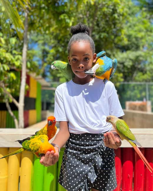 Montego Bay: Marijuana Farm and Bird Sanctuary Tour - Who will enjoy this, and who should pass