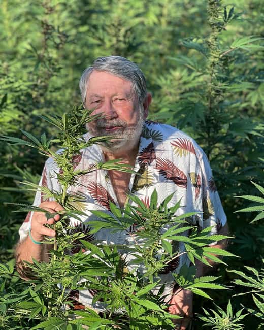 Montego Bay: Marijuana Farm Private Tour with Transportation - Key Points Before You Book