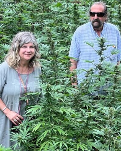 Marijuana Farm Private Tour with Transportation