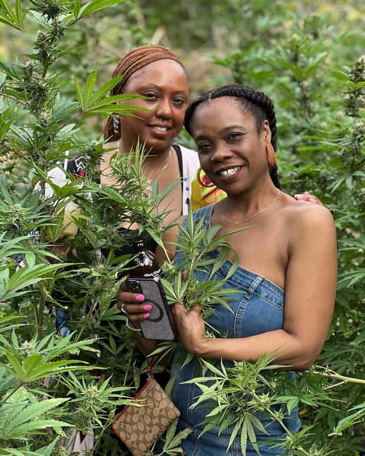 Montego Bay: Marijuana Farm Private Tour with Transportation - The Sampling Session and Chalice Time