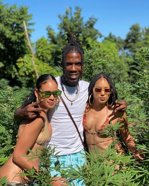 Montego Bay Marijuana Farm Tour - Cancellation and booking flexibility