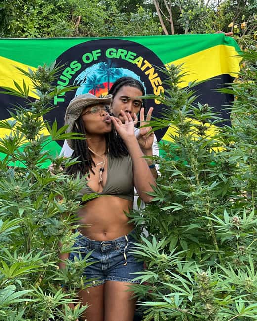 Montego Bay Marijuana Farm Tour - What this Montego Bay farm tour is really about