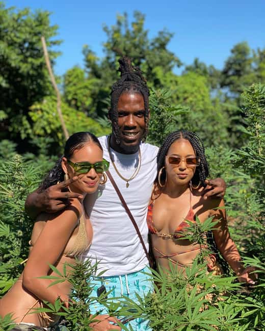 Montego Bay Marijuana Farm Tour - Is $140 per person a fair price?
