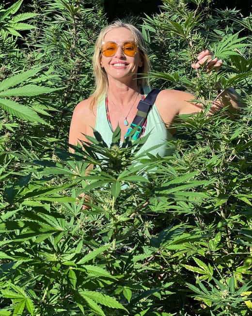 Montego Bay Marijuana Farm Tour - Food, cash, and simple planning