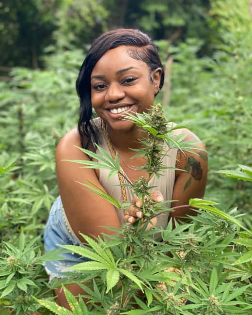 Montego Bay Marijuana Farm Tour - From hotel pickup to the farm roads