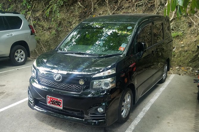 Montego Bay Private Airport Transfer - Key points at a glance
