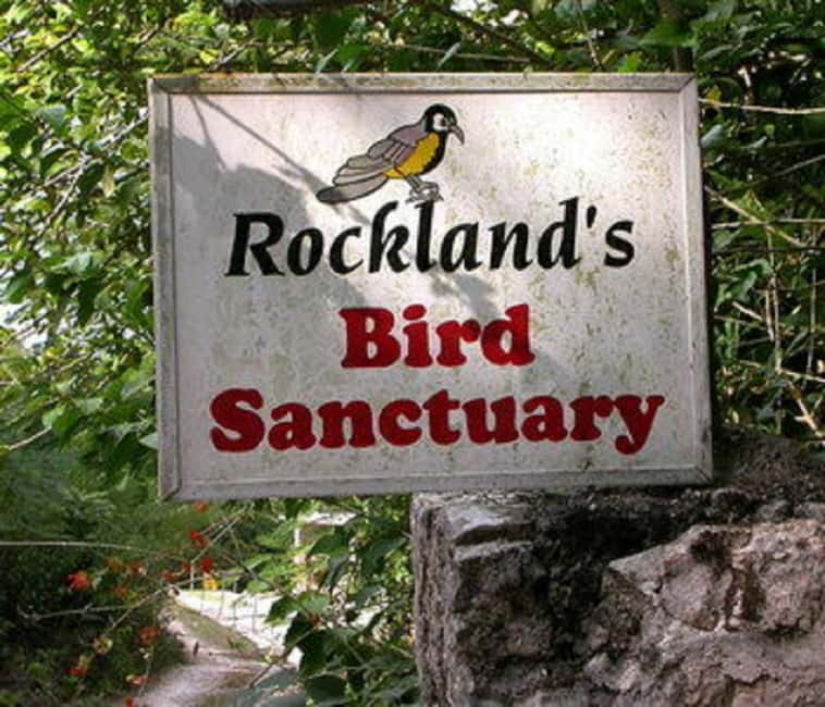 Montego Bay: Private Rocklands Bird Sanctuary Trip - Practical advice for a smoother visit