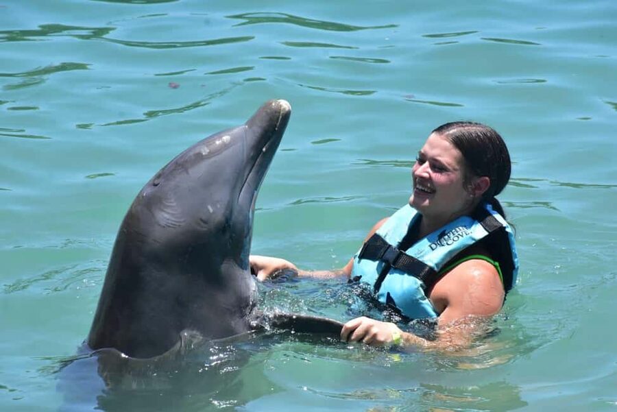 Montego Bay: Swim With The Dolphins Adventure in Lucea - Quick facts about the Lucea dolphin adventure