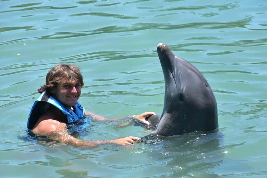Montego Bay: Swim With The Dolphins Adventure in Lucea - Dolphin Cove Montego Bay and the private lagoon