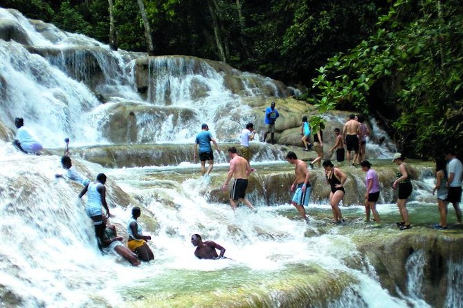 Montego Bay to Dunn's River Falls Half-Day Trip - The Long Road From Montego Bay to Ocho Rios