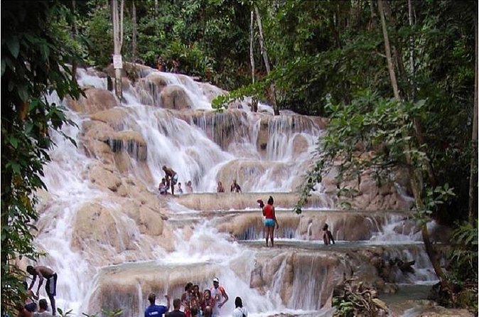 Montego Bay to Dunn's River Falls Half-Day Trip - Is $75 a Fair Price?