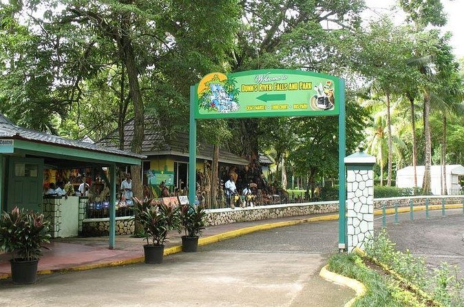 Montego Bay to Dunn's River Falls Half-Day Trip - Practical Packing List for a Wet Climb