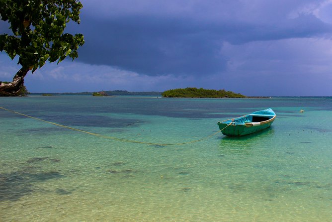Negril 4 in 1 Day Trip from Montego Bay - Why this Negril day trip works