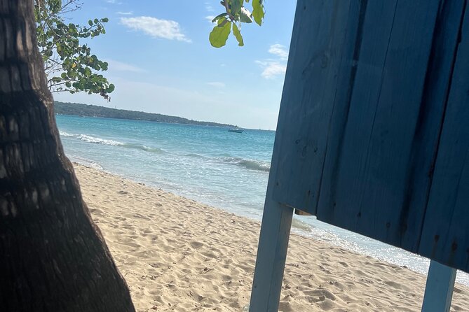 Negril 7 Mile Beach and Ricks Cafe Tour - Who Will Enjoy This Tour Most