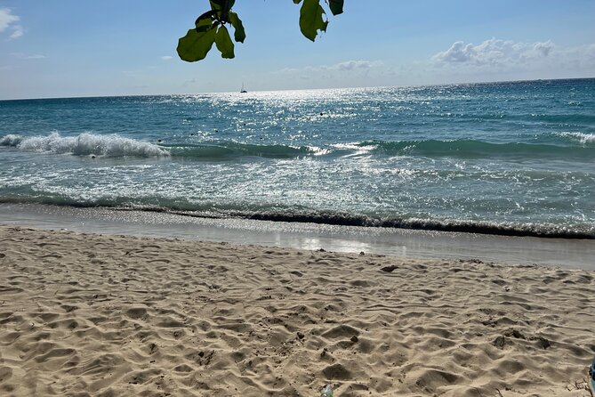 Negril 7 Mile Beach and Ricks Cafe Tour - Should You Book the Negril Beach and Rick’s Cafe Tour?