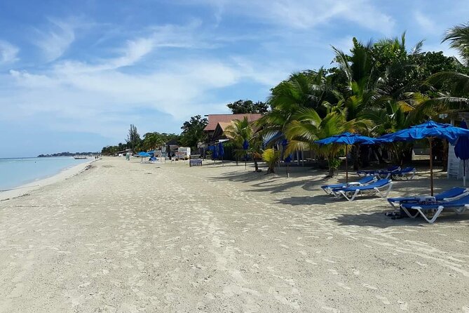Negril 7 Miles Beach and Rick's Cafe Tour - What the private vehicle adds