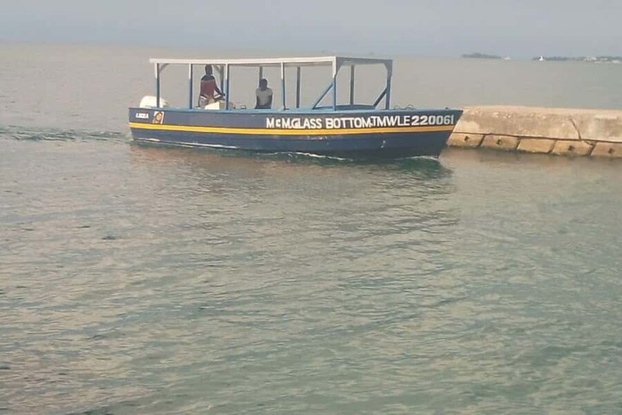 Negril: Booby Cay Island Picnic Tour with Snorkeling - Starting Near Negril’s Seven Mile Beach