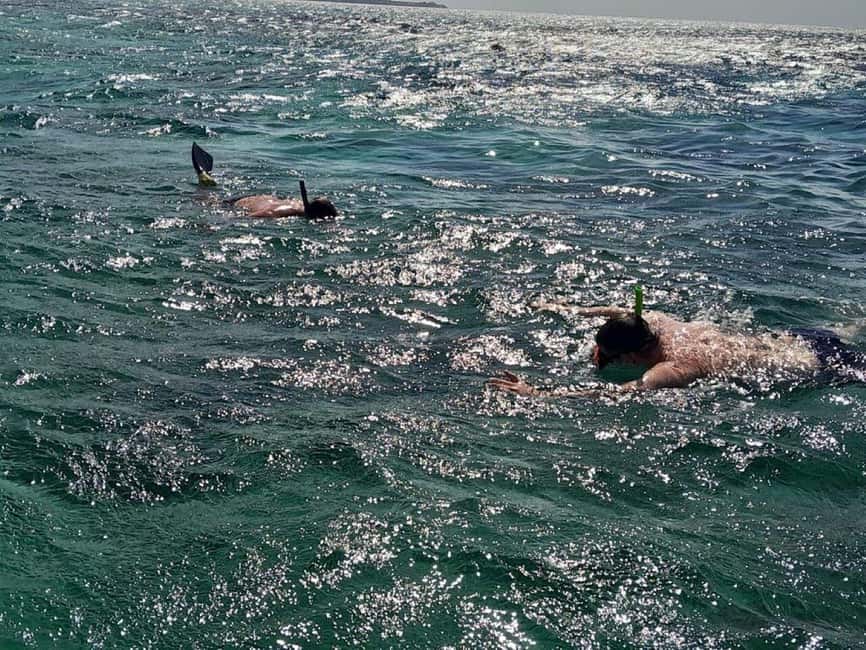 Negril: Booby Cay Island Picnic Tour with Snorkeling - One Hour of Snorkeling in Clear Water
