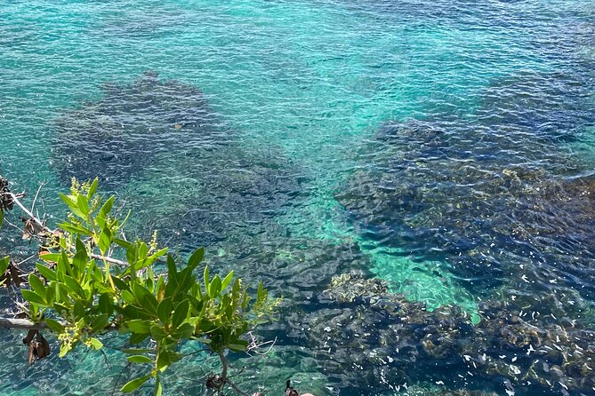 Negril day! beach and west end Cliffs with French Guide - The Negril cliffs, caves, and open water